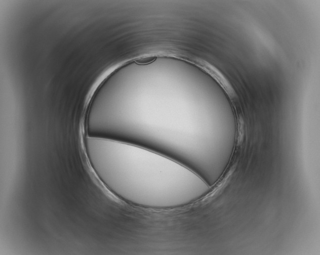 X0000113010812200908270938