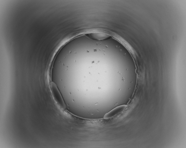 X0000113010813200908270938