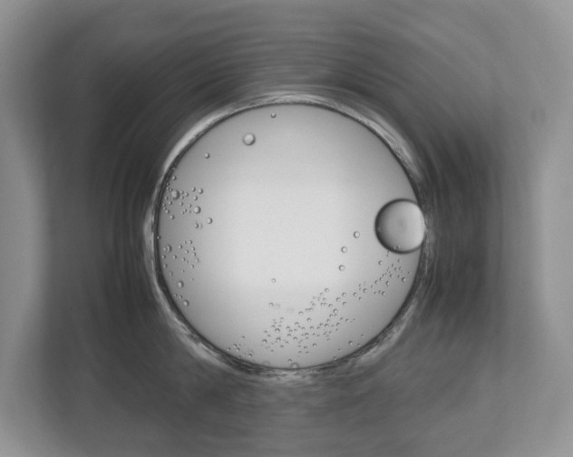 X0000113010814200908270938