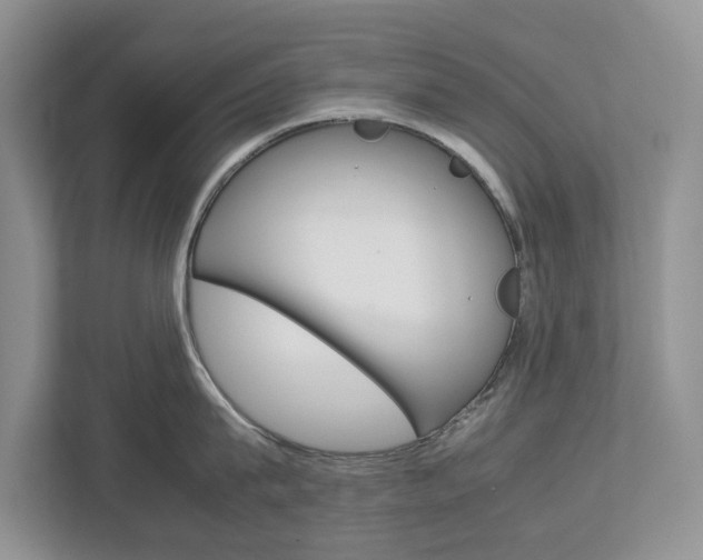 X0000113010815200908270938