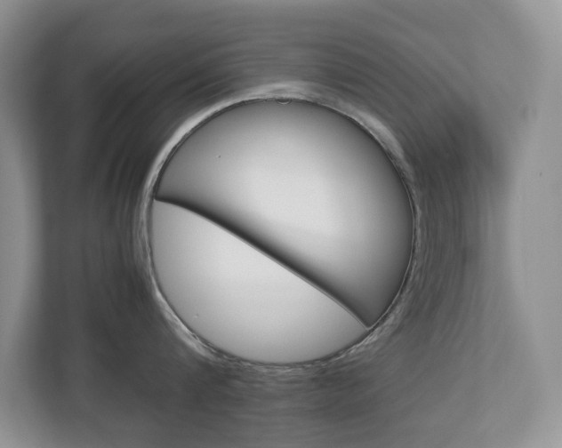 X0000113010816200908270938