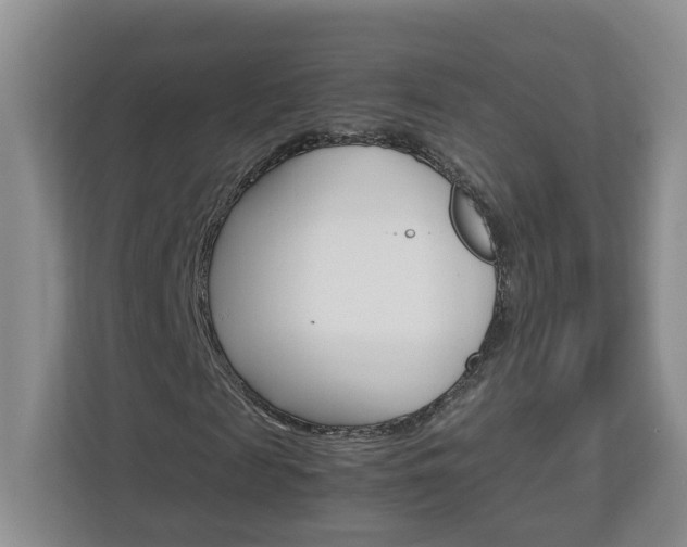 X0000113010817200908270938