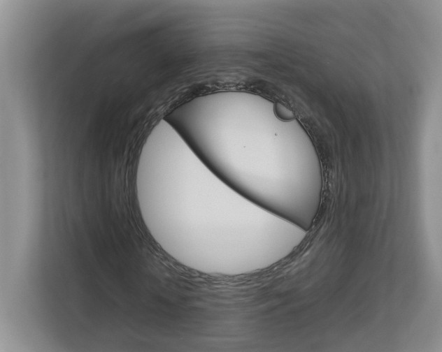 X0000113010818200908270938