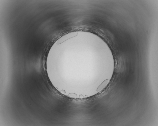 X0000113010820200908270938