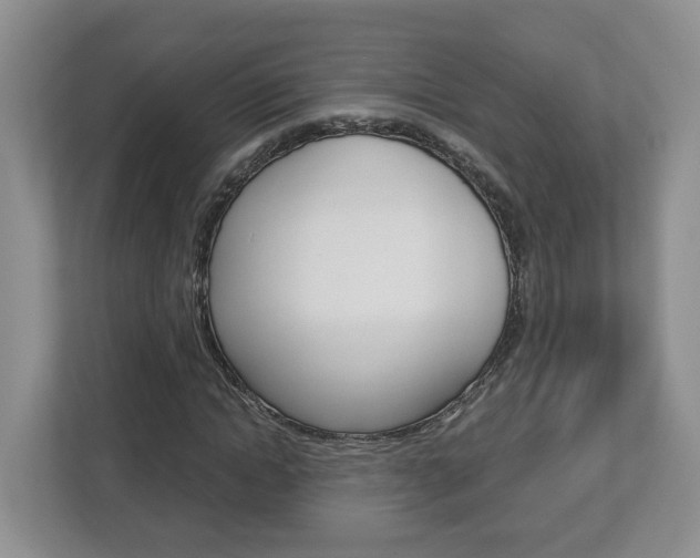 X0000113010822200908270938