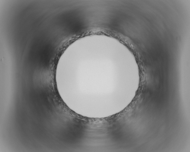 X0000113010824200908270938