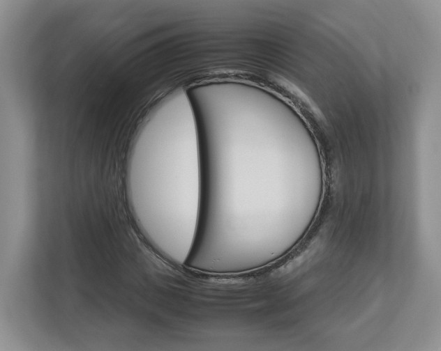 X0000113010825200908270938