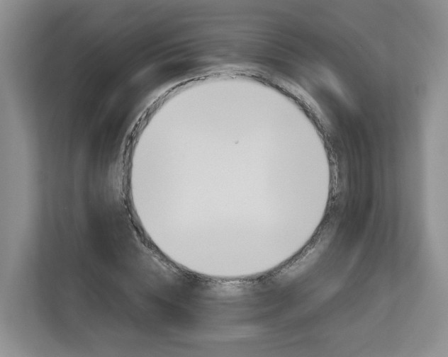 X0000113010828200908270938