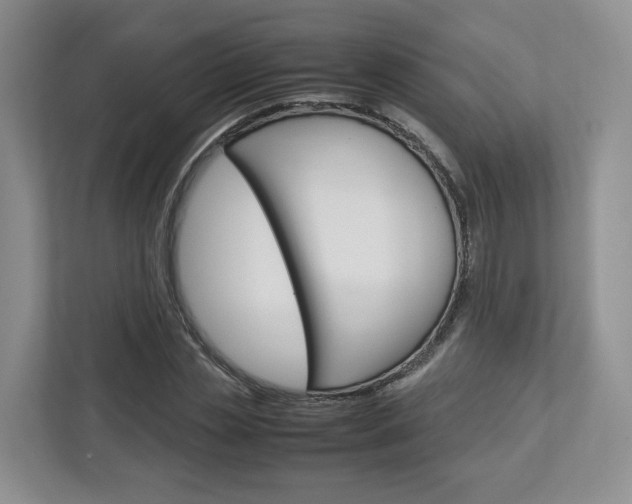 X0000113010829200908270938