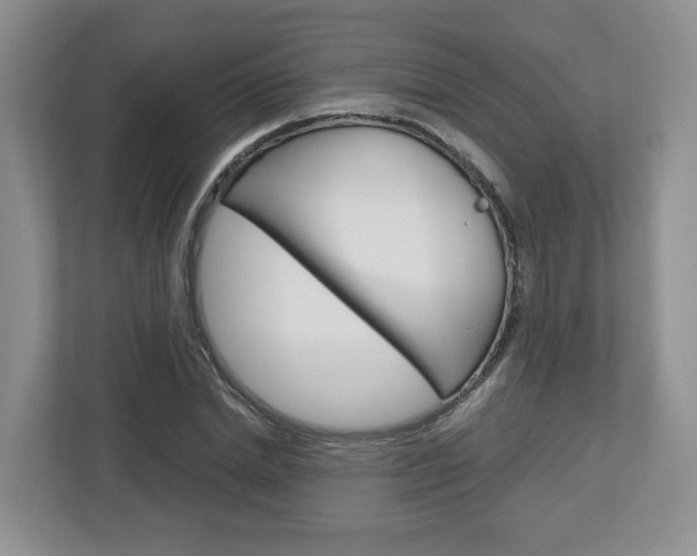 X0000113010830200908270938