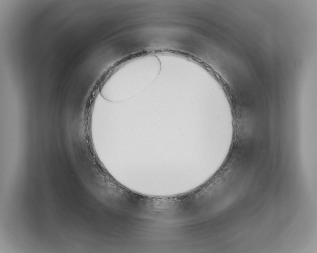 X0000113010832200908270938