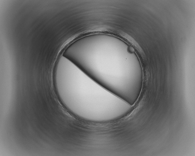 X0000113010834200908270938