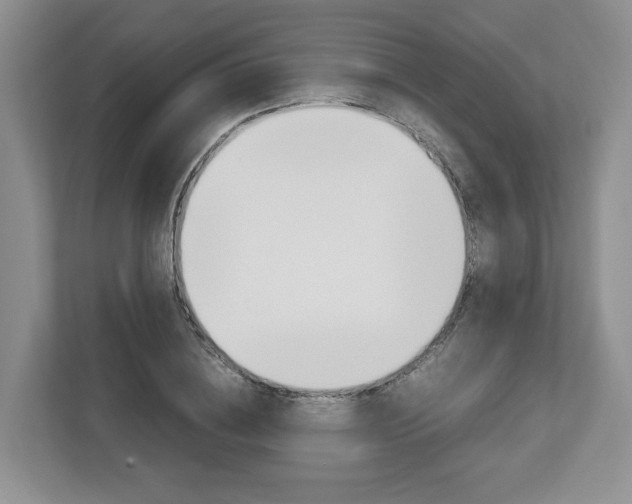 X0000113010836200908270938