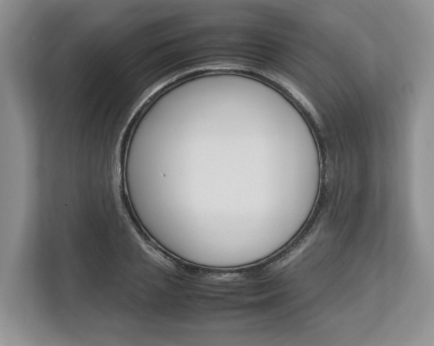 X0000113010837200908270938
