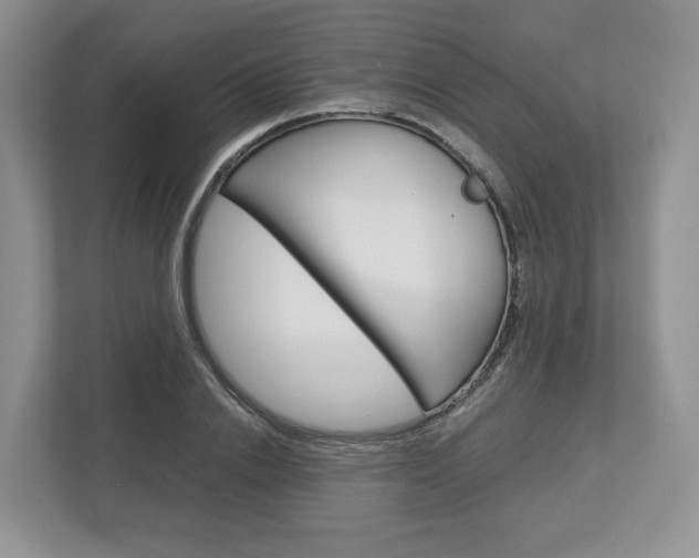 X0000113010838200908270938