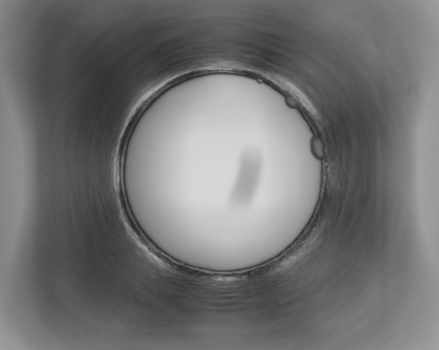 X0000113010839200908270938