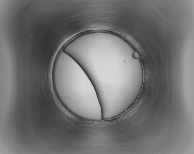 X0000113010840200908270938