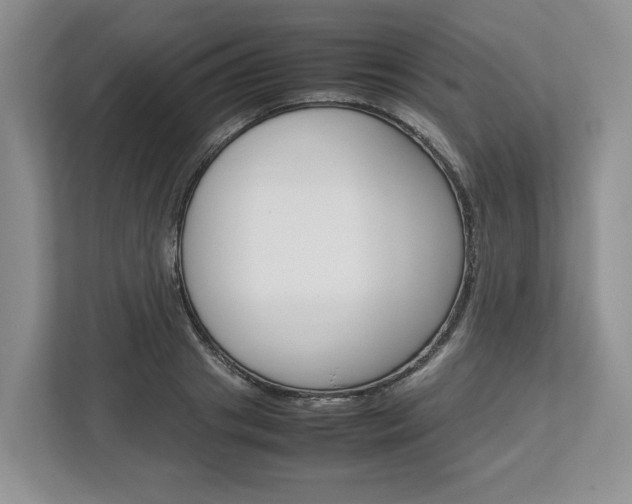 X0000113010841200908270938