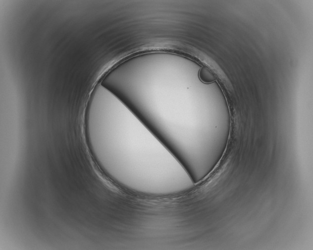X0000113010842200908270938
