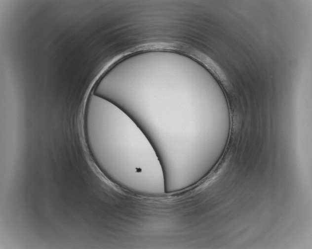 X0000113010844200908270938