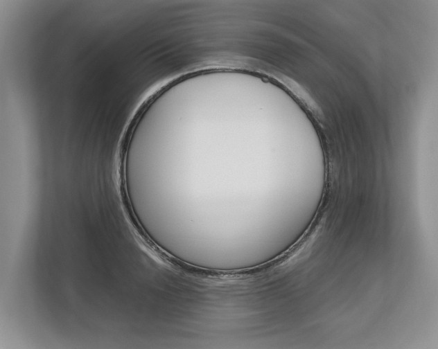 X0000113010846200908270938