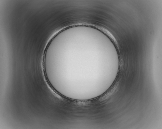 X0000113010847200908270938