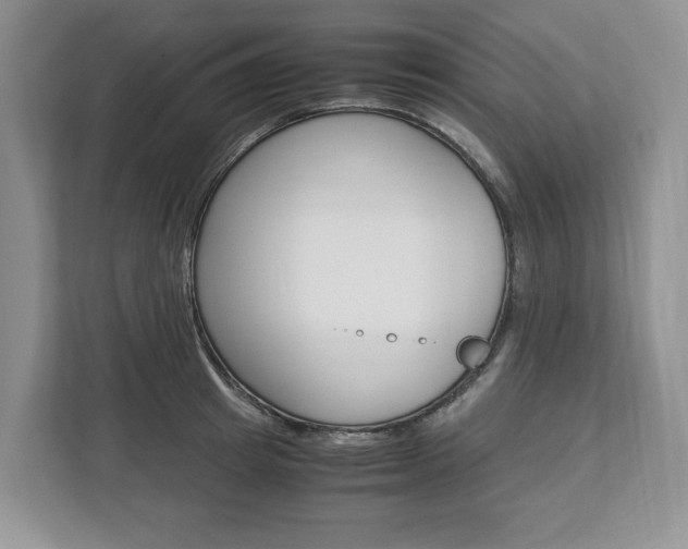 X0000113010849200908270938