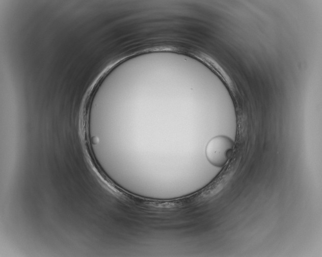 X0000113010851200908270938