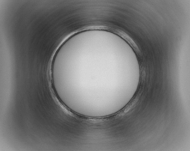 X0000113010852200908270938