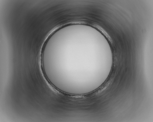 X0000113010853200908270938