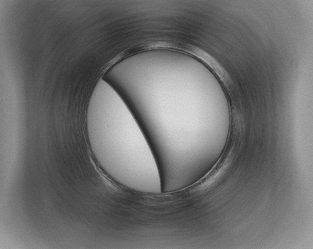 X0000113010857200908270938