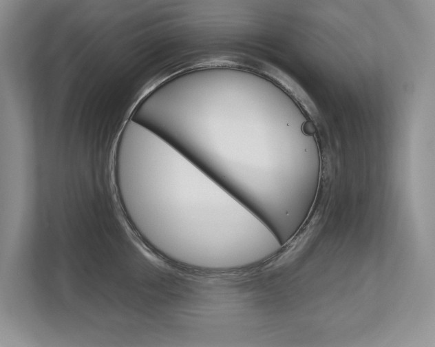 X0000113010858200908270938
