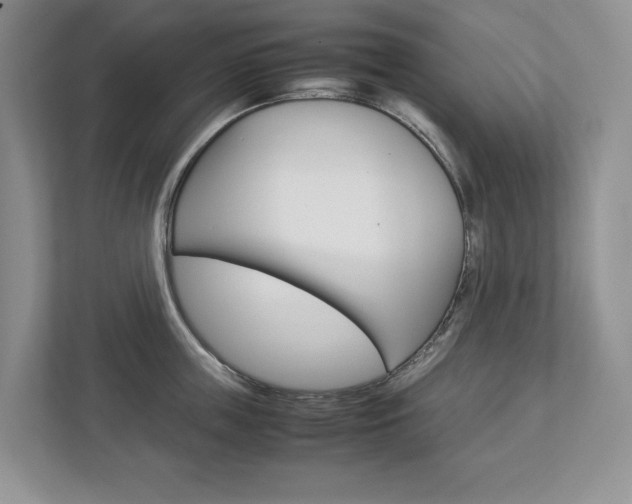 X0000113010859200908270938
