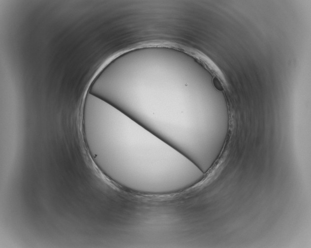 X0000113010860200908270938