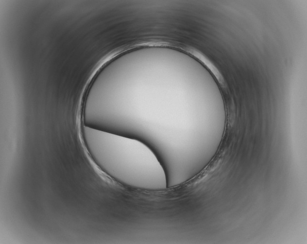 X0000113010861200908270938