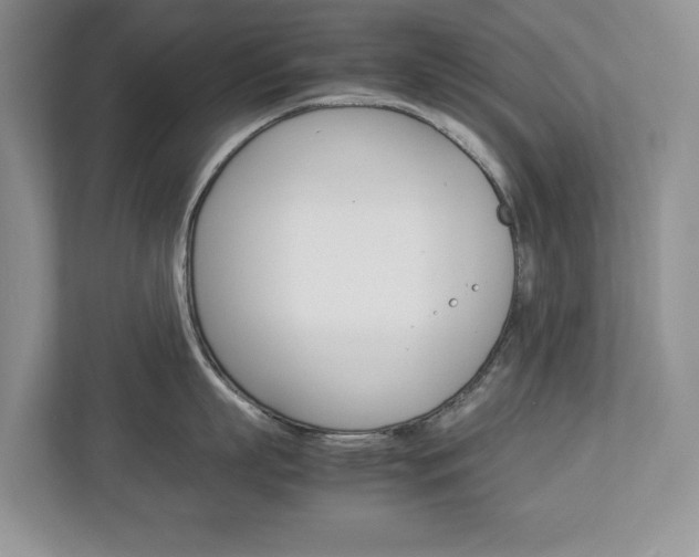X0000113010863200908270938