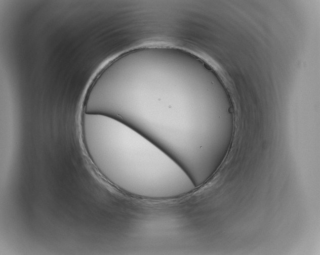 X0000113010864200908270938