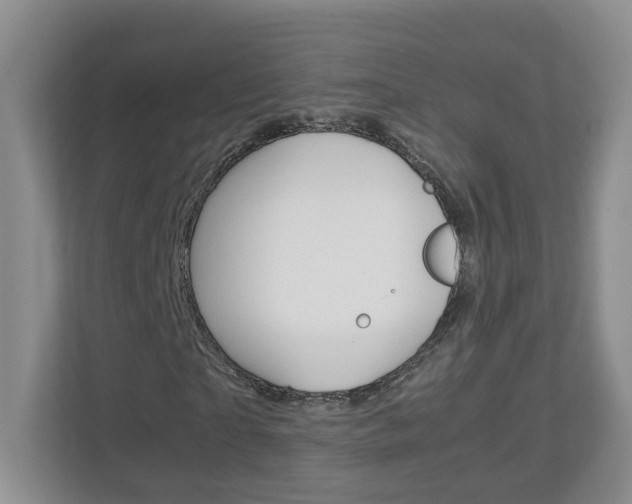 X0000113010865200908270938