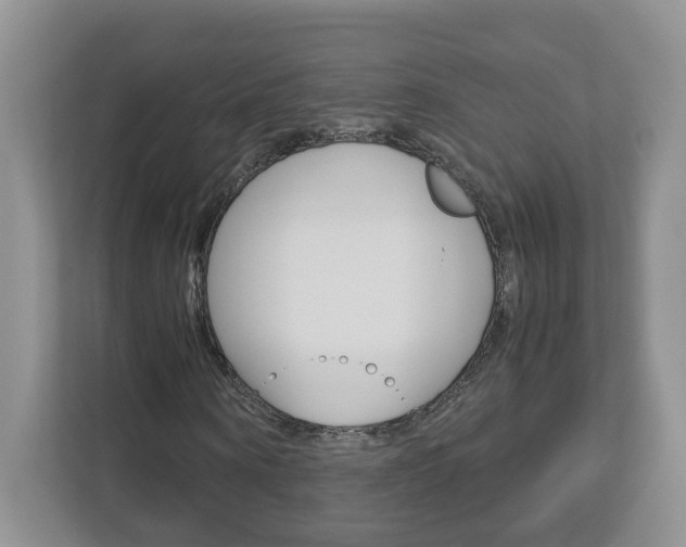 X0000113010866200908270938