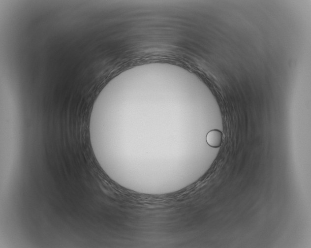 X0000113010868200908270938