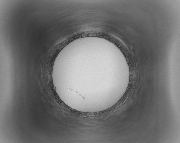 X0000113010869200908270938