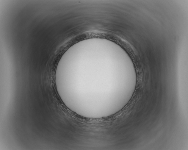 X0000113010870200908270938