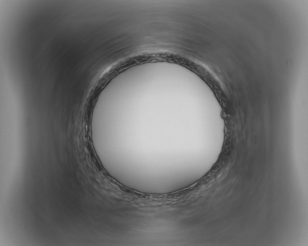 X0000113010871200908270938
