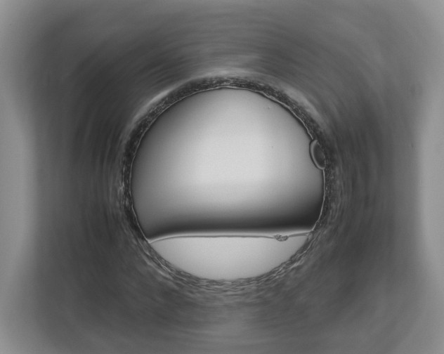 X0000113010872200908270938