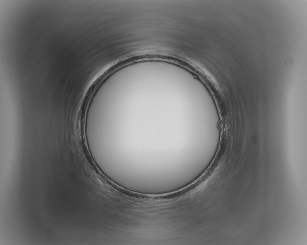 X0000113010877200908270937