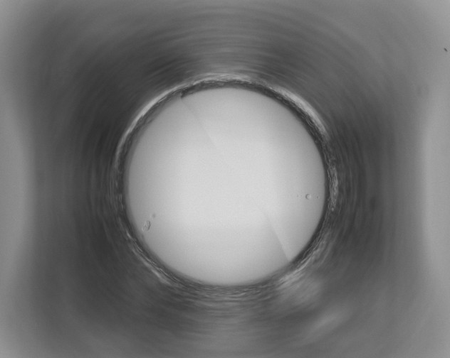 X0000113010878200908270937