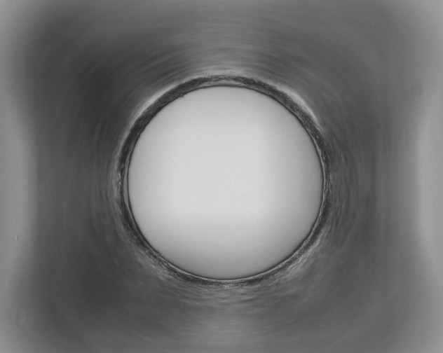 X0000113010879200908270937