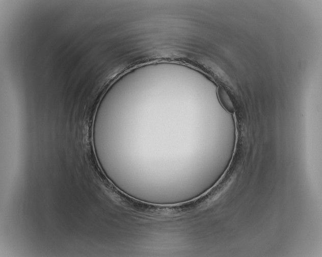 X0000113010881200908270937
