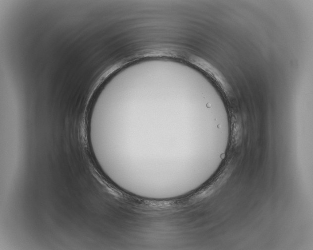 X0000113010882200908270937
