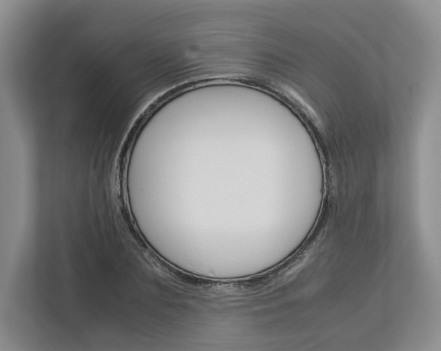 X0000113010883200908270937